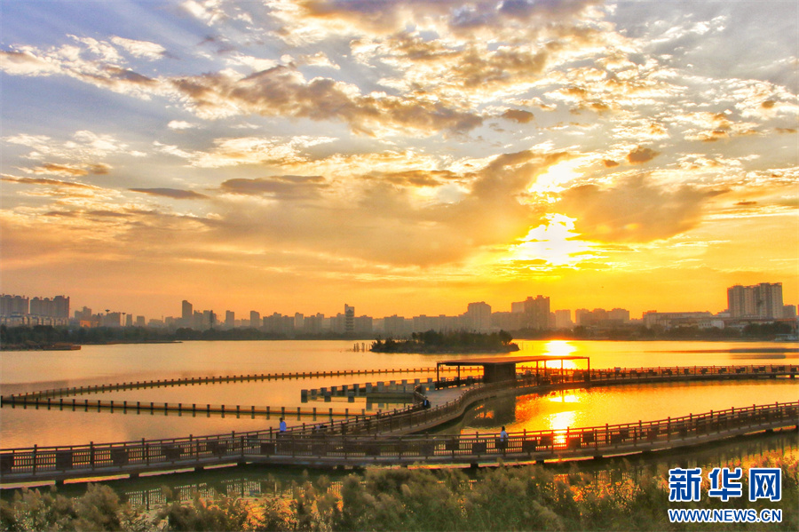 这是11月1日拍摄的河南省商丘市柘城县容湖国家湿地公园。